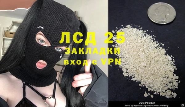индика Болхов