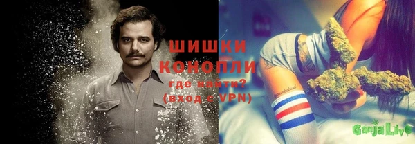 индика Болхов