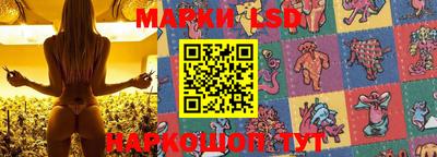 ГАЛЛЮЦИНОГЕННЫЕ ГРИБЫ Беслан