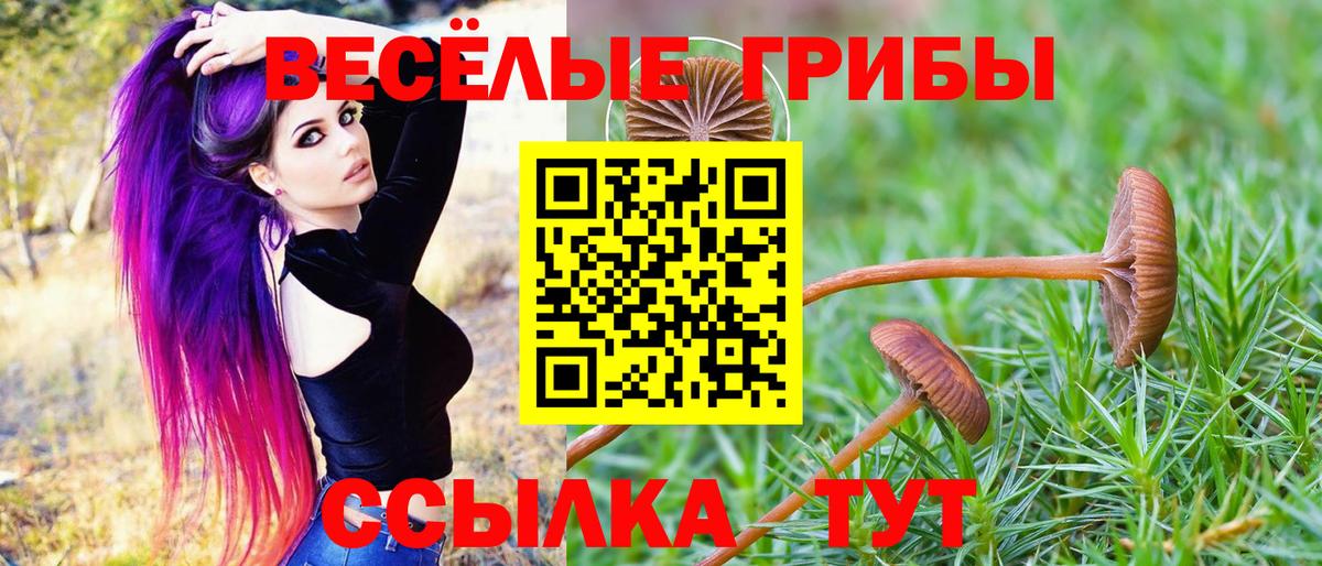 Галлюциногенные грибы GOLDEN TEACHER  Камышин 