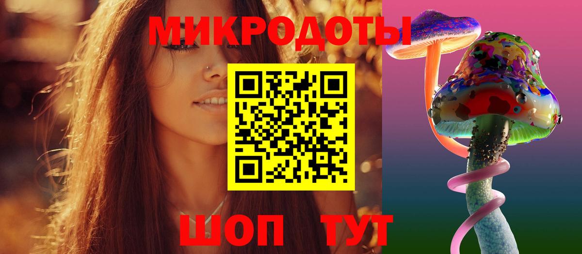 Псилоцибиновые грибы Psilocybine cubensis Камышин