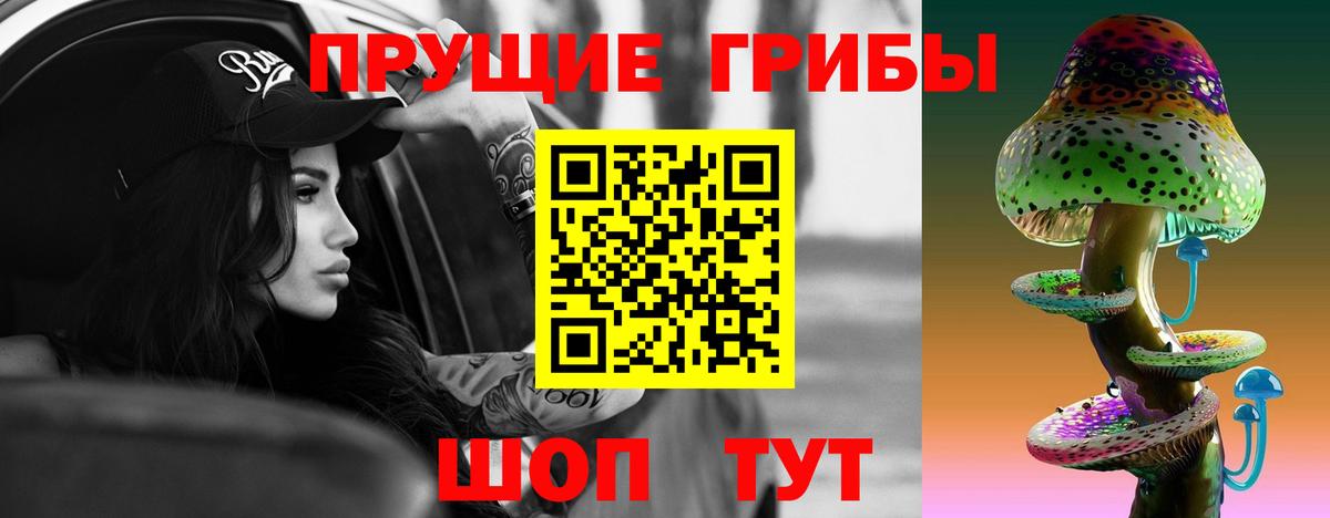 Галлюциногенные грибы Psilocybine cubensis  Вход с VPN  Камышин 