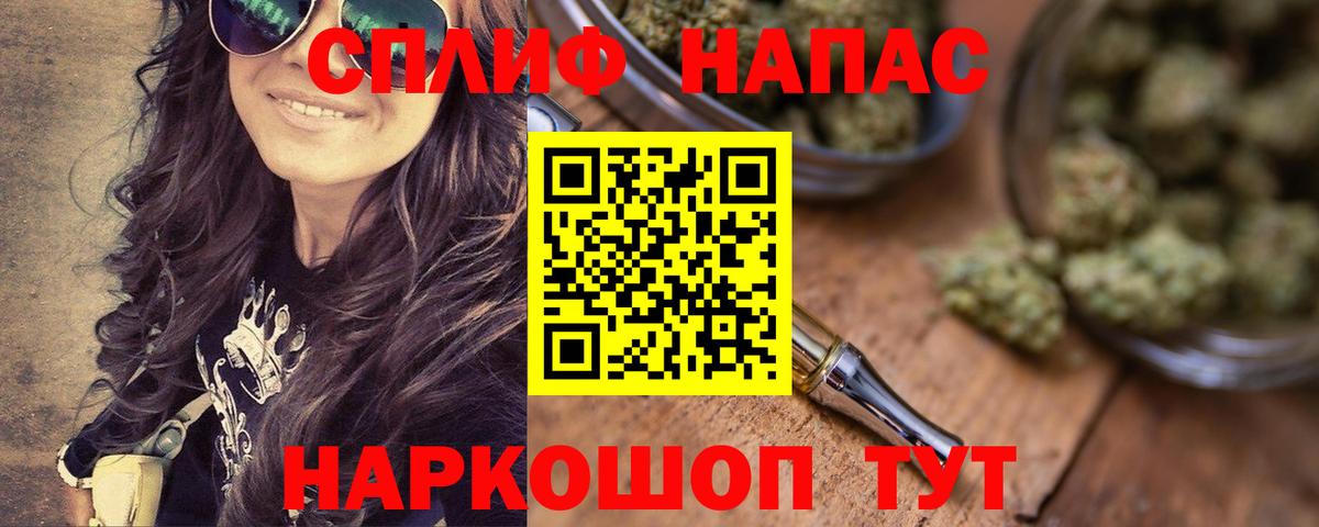 Бошки Шишки марихуана  Камышин  Каннабис гибрид  Конопля план 